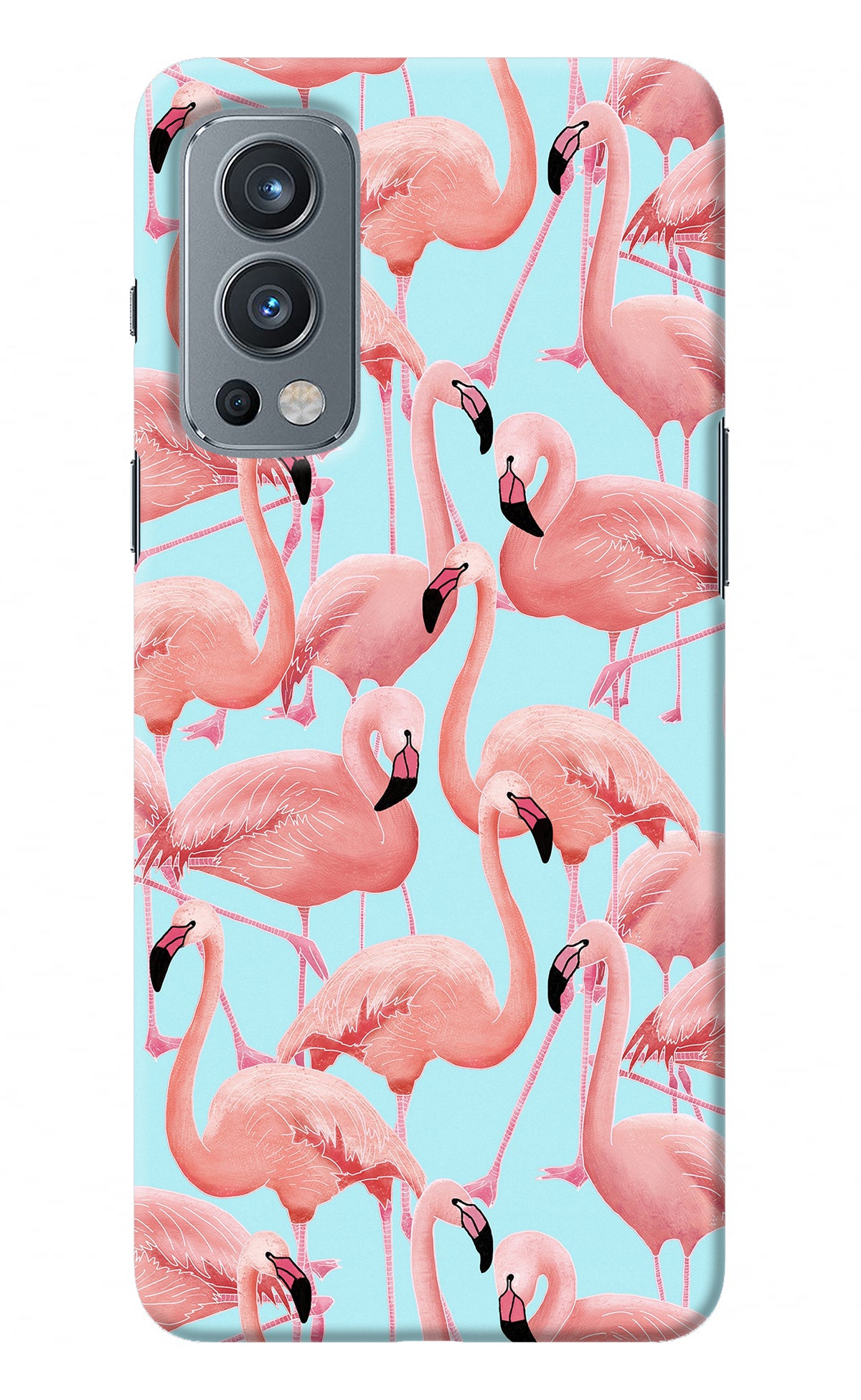 Flamboyance OnePlus Nord 2 5G Back Cover