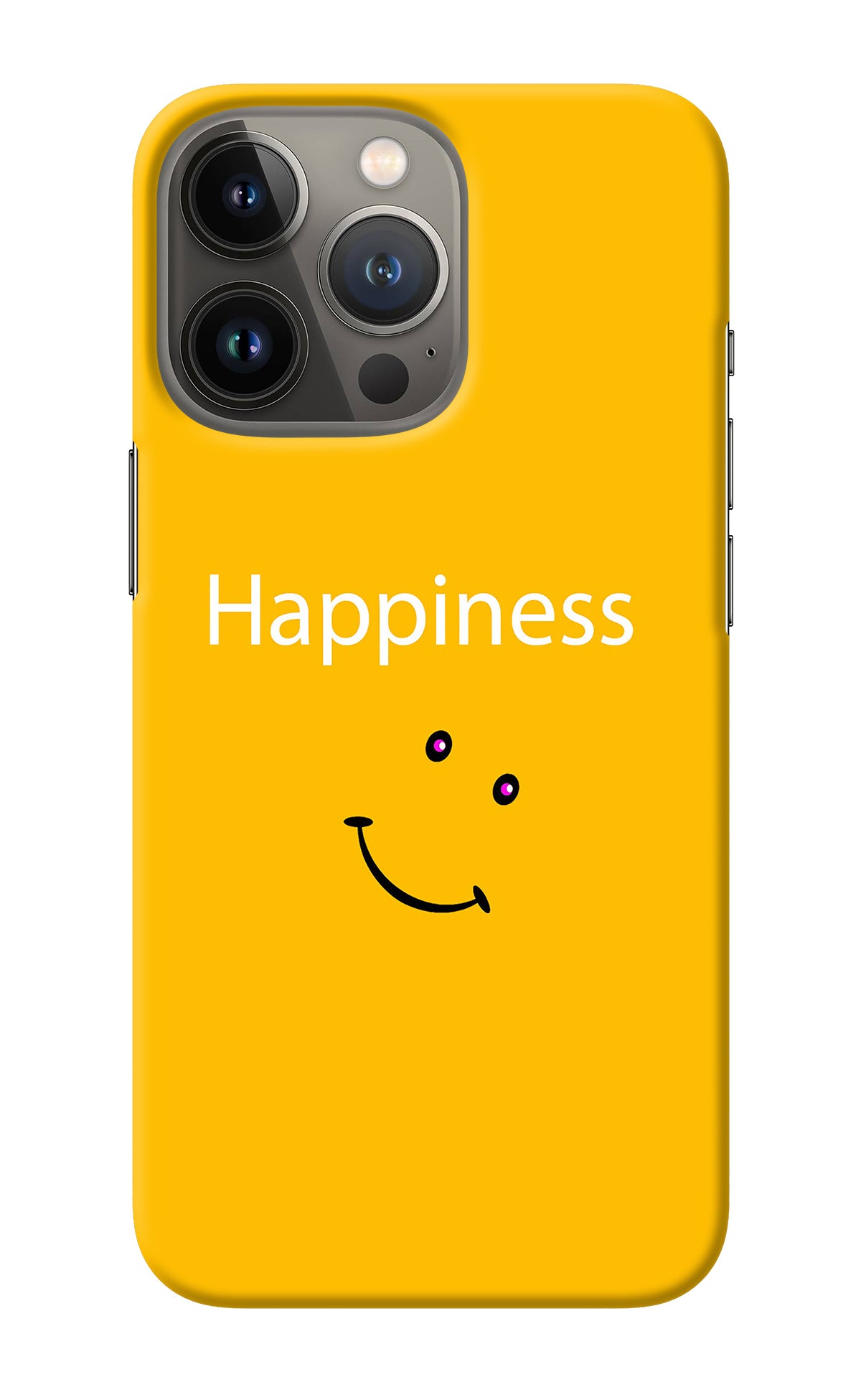 Happiness With Smiley iPhone 13 Pro Back Cover