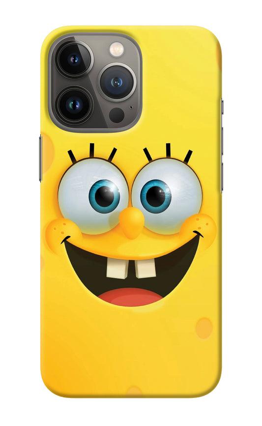 Sponge 1 iPhone 13 Pro Back Cover