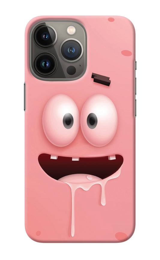 Sponge 2 iPhone 13 Pro Back Cover