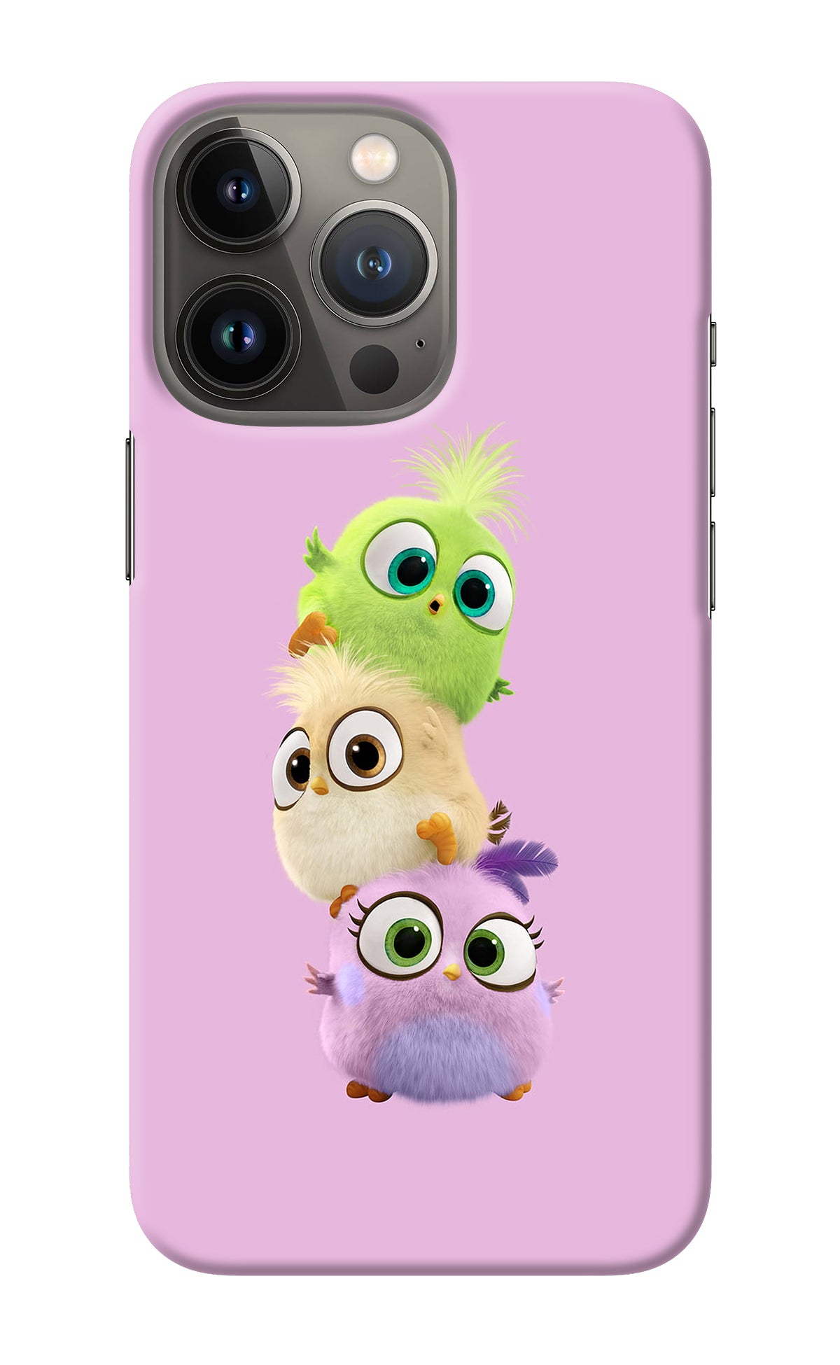 Cute Little Birds iPhone 13 Pro Back Cover