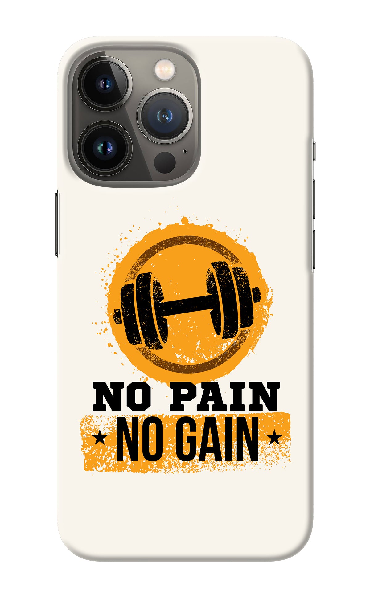 No Pain No Gain iPhone 13 Pro Max Back Cover