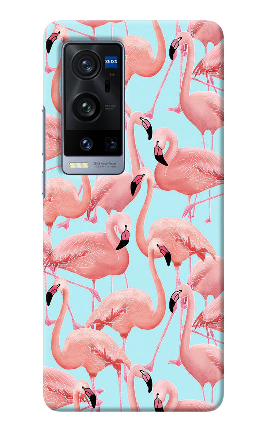 Flamboyance Vivo X60 Pro+ Back Cover