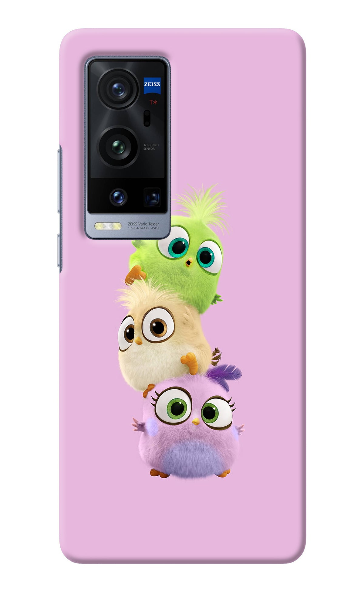 Cute Little Birds Vivo X60 Pro+ Back Cover