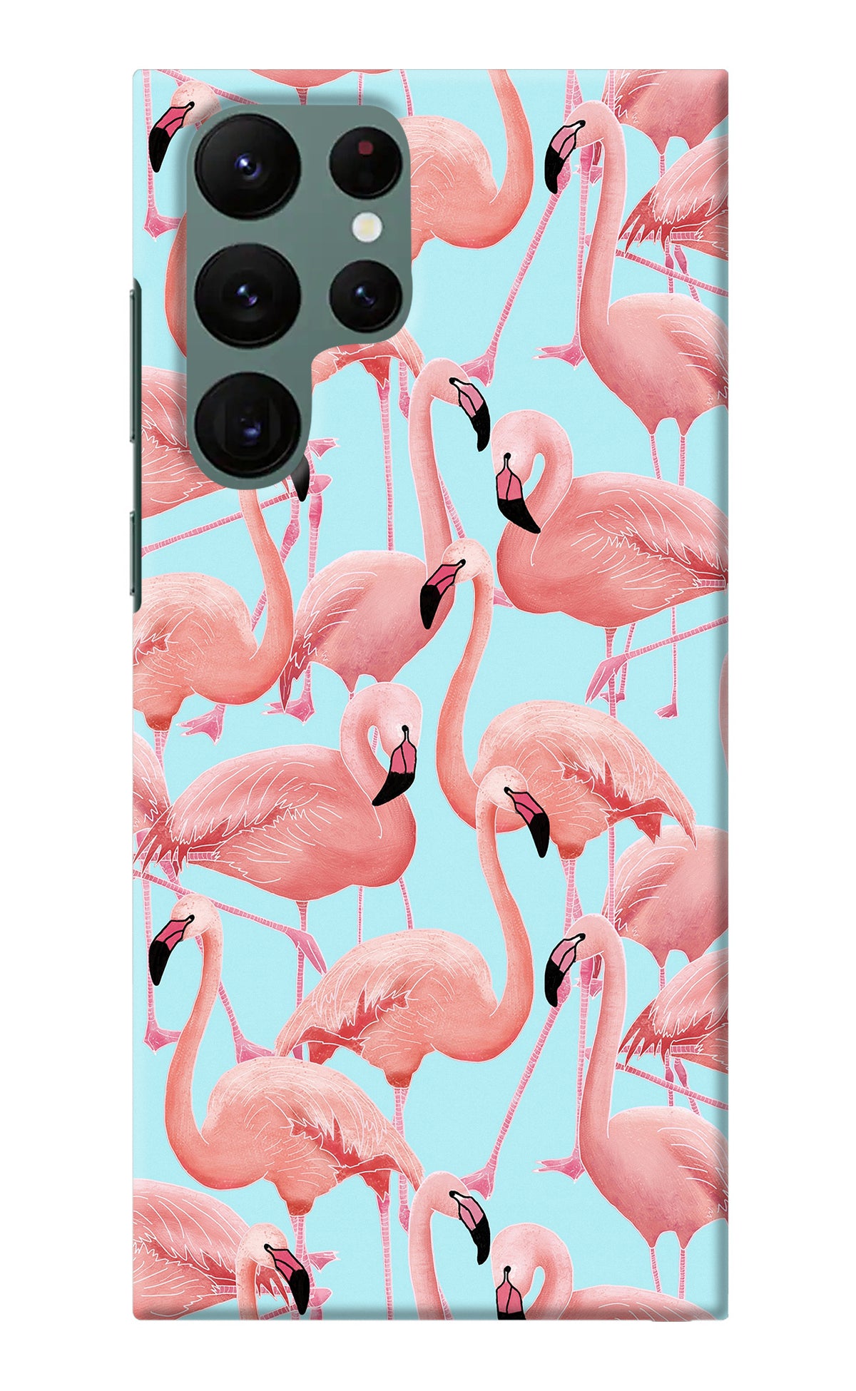 Flamboyance Samsung S22 Ultra Back Cover