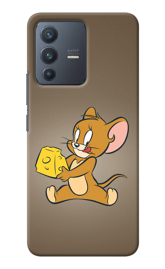 Jerry Vivo V23 5G Back Cover