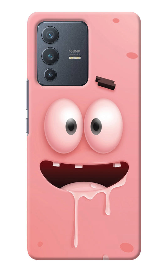 Sponge 2 Vivo V23 Pro 5G Back Cover