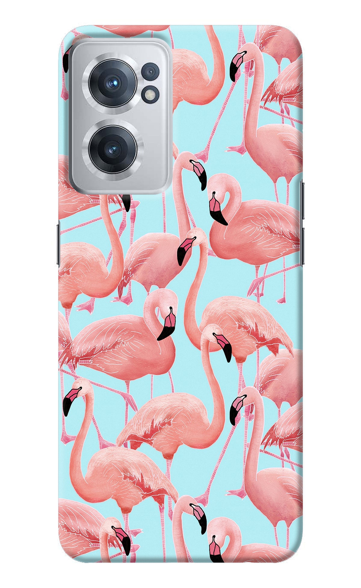 Flamboyance OnePlus Nord CE 2 5G Back Cover