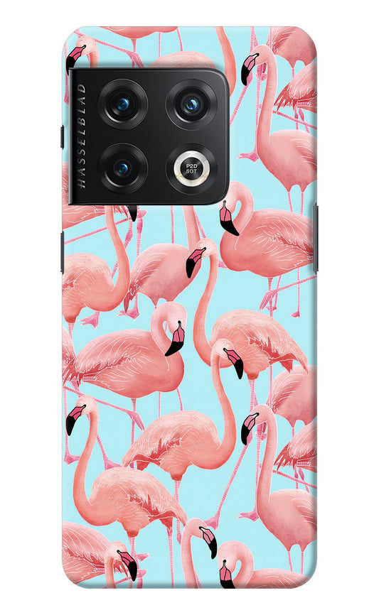 Flamboyance OnePlus 10 Pro 5G Back Cover