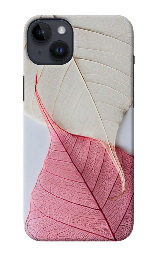 White Pink Leaf iPhone 14 Plus Back Cover