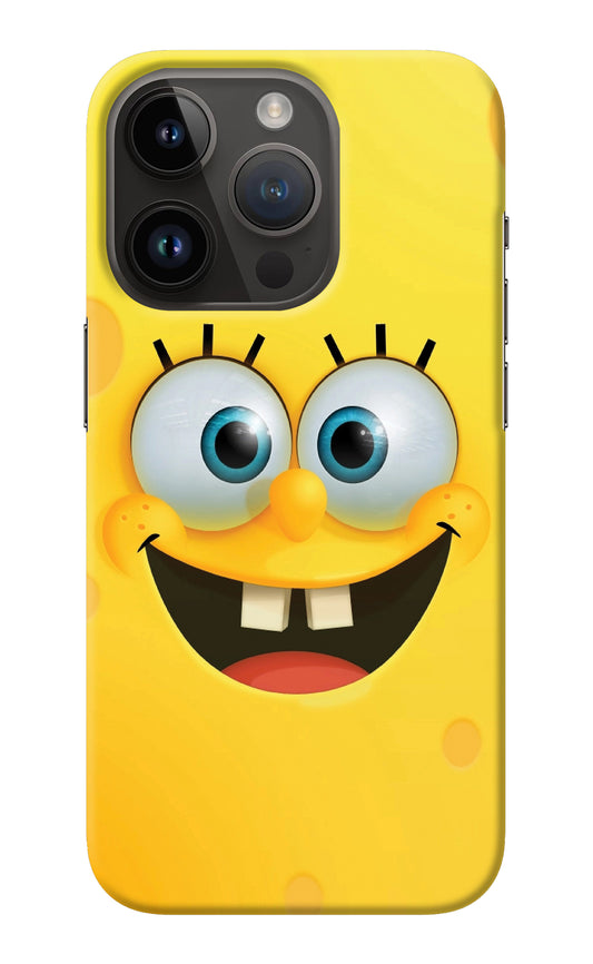 Sponge 1 iPhone 14 Pro Back Cover