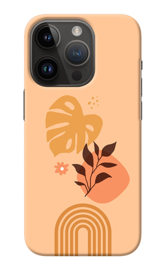 Bohemian Art iPhone 14 Pro Back Cover