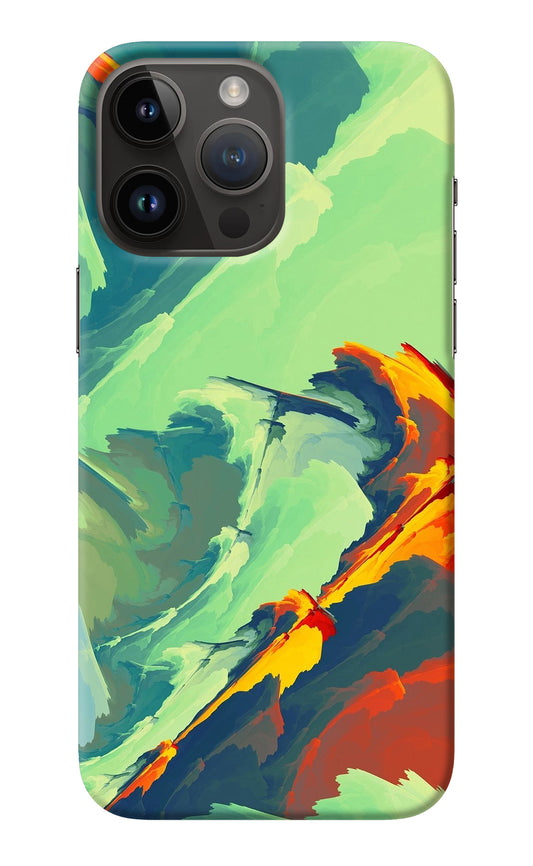 Paint Art iPhone 14 Pro Max Back Cover