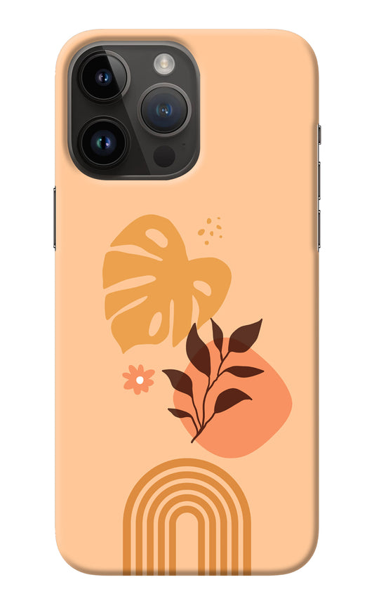 Bohemian Art iPhone 14 Pro Max Back Cover