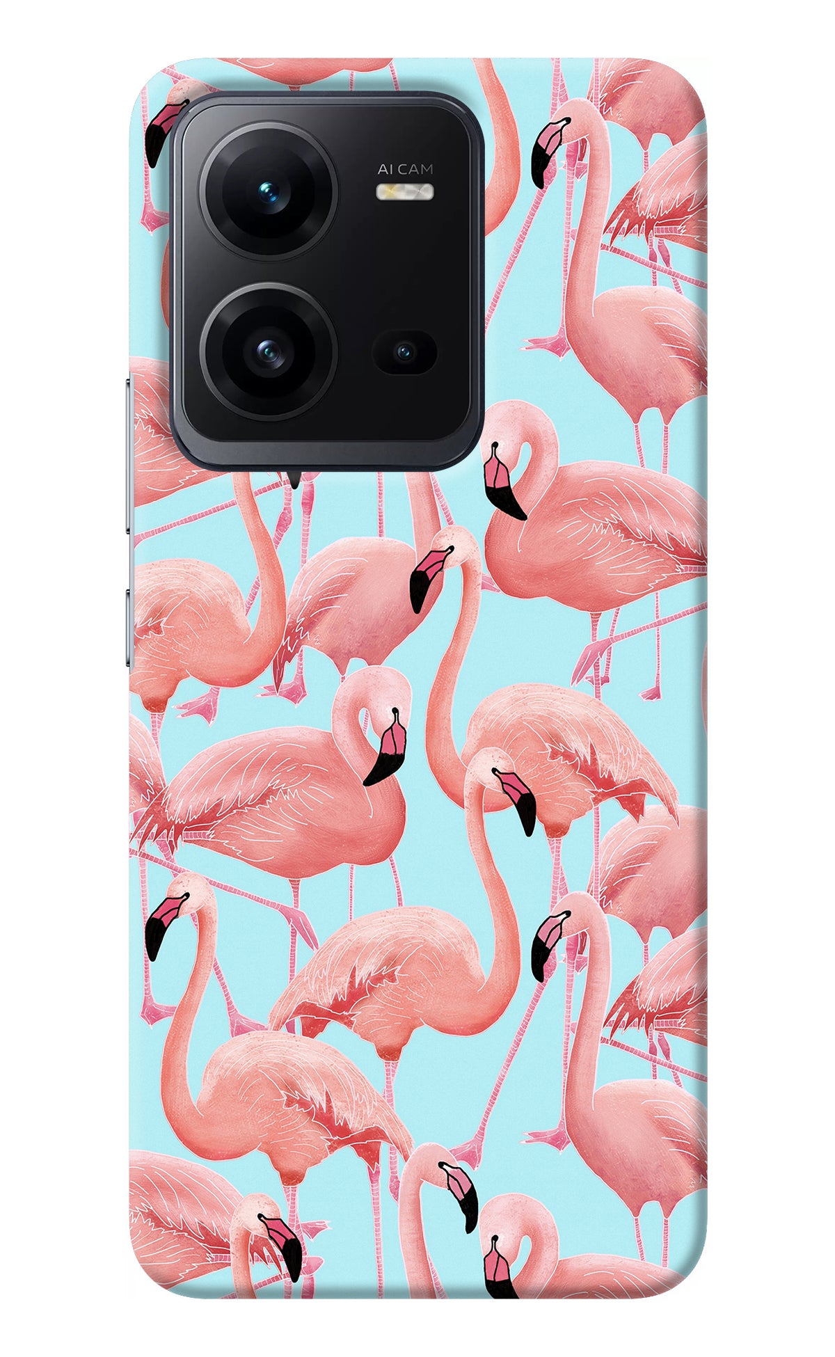 Flamboyance Vivo V25 5G Back Cover