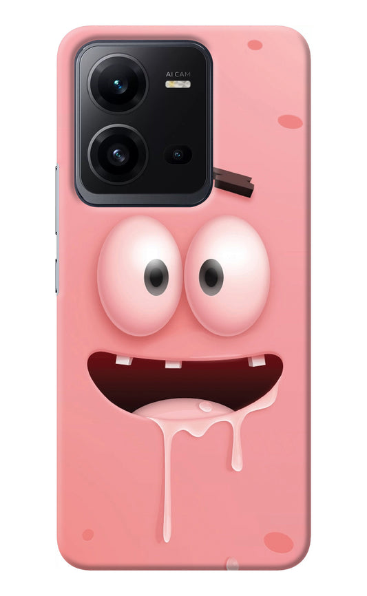 Sponge 2 Vivo V25 5G Back Cover