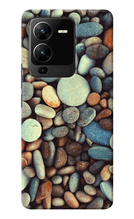 Pebble Vivo V25 Pro 5G Back Cover