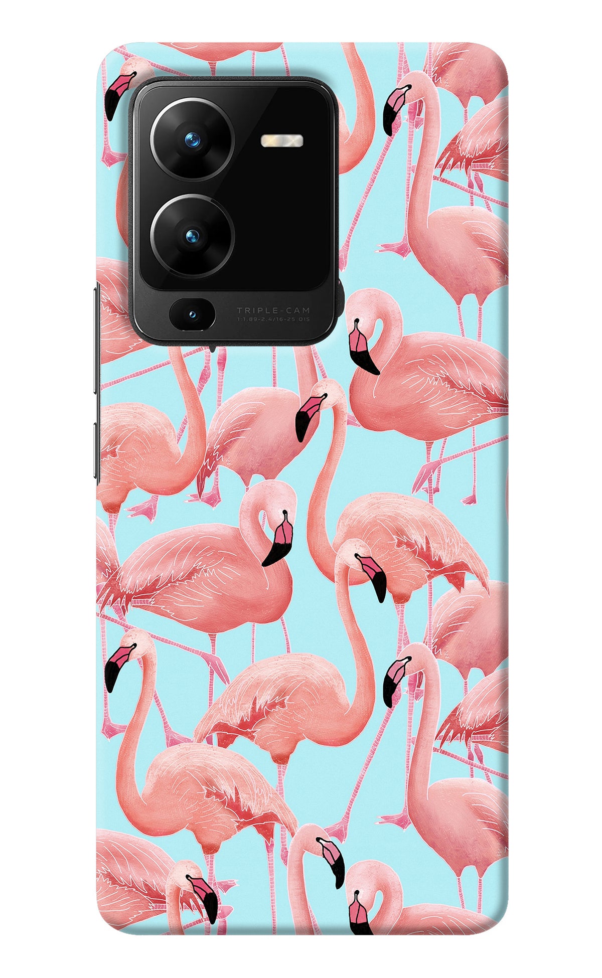 Flamboyance Vivo V25 Pro 5G Back Cover