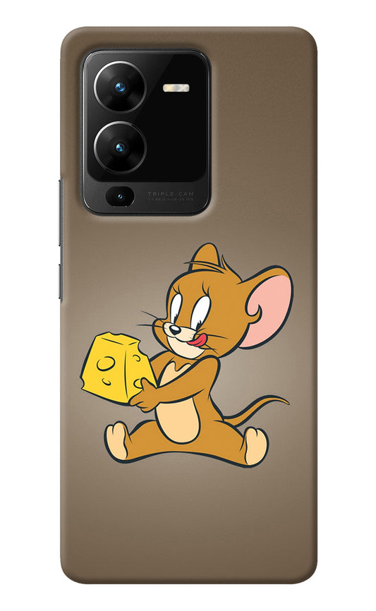 Jerry Vivo V25 Pro 5G Back Cover