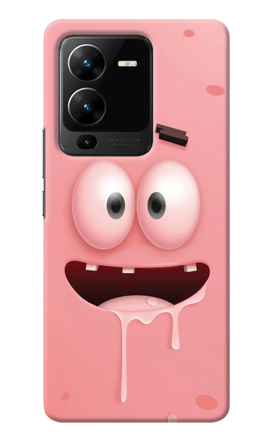 Sponge 2 Vivo V25 Pro 5G Back Cover