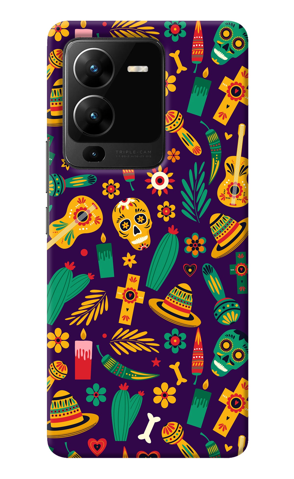 Mexican Artwork Vivo V25 Pro 5G Back Cover