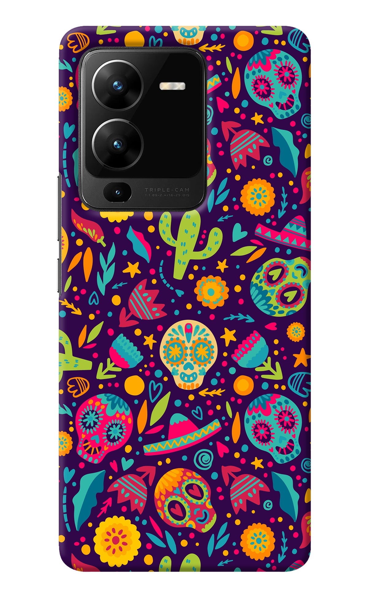 Mexican Design Vivo V25 Pro 5G Back Cover