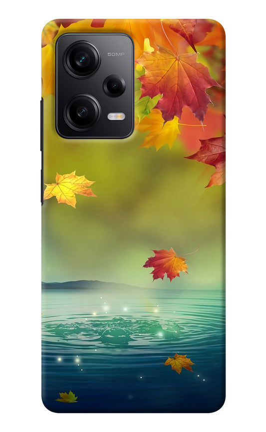 Flowers Redmi Note 12 Pro 5G Back Cover