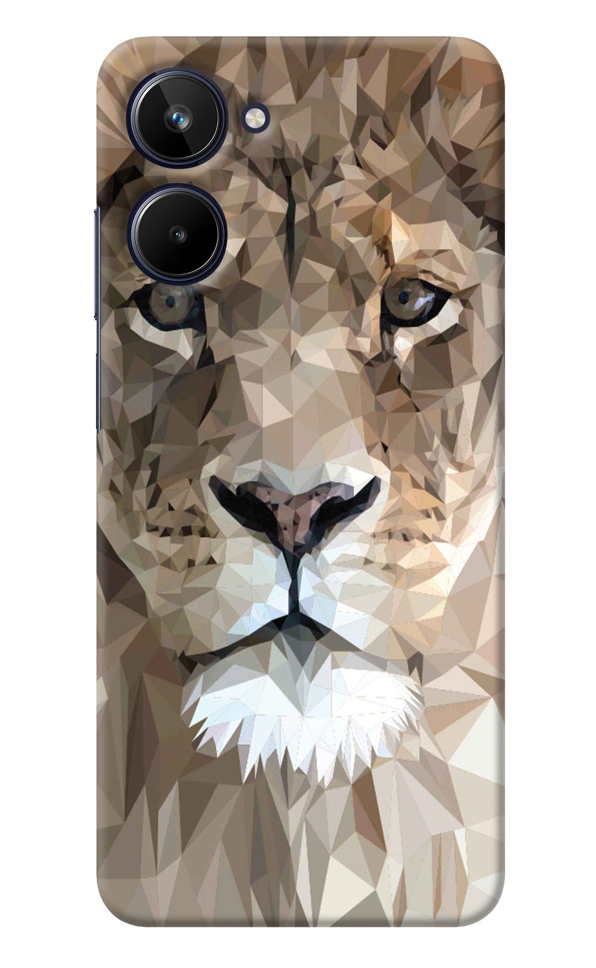 Lion Art Realme 10 Back Cover