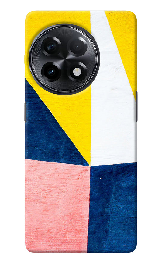 Colourful Art OnePlus 11R Back Cover