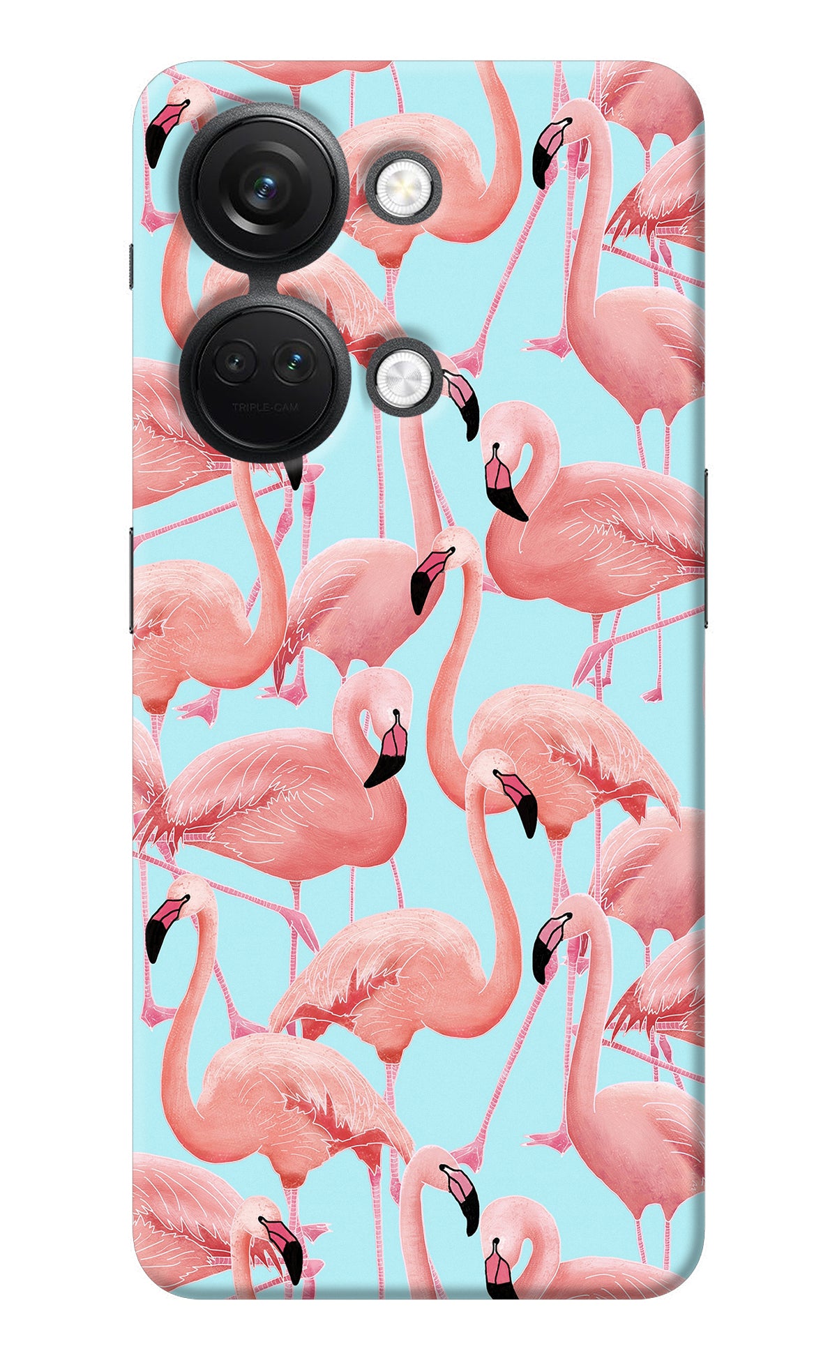Flamboyance OnePlus Nord 3 5G Back Cover