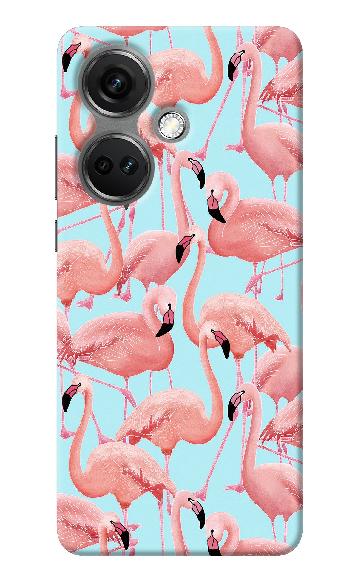 Flamboyance OnePlus Nord CE 3 5G Back Cover