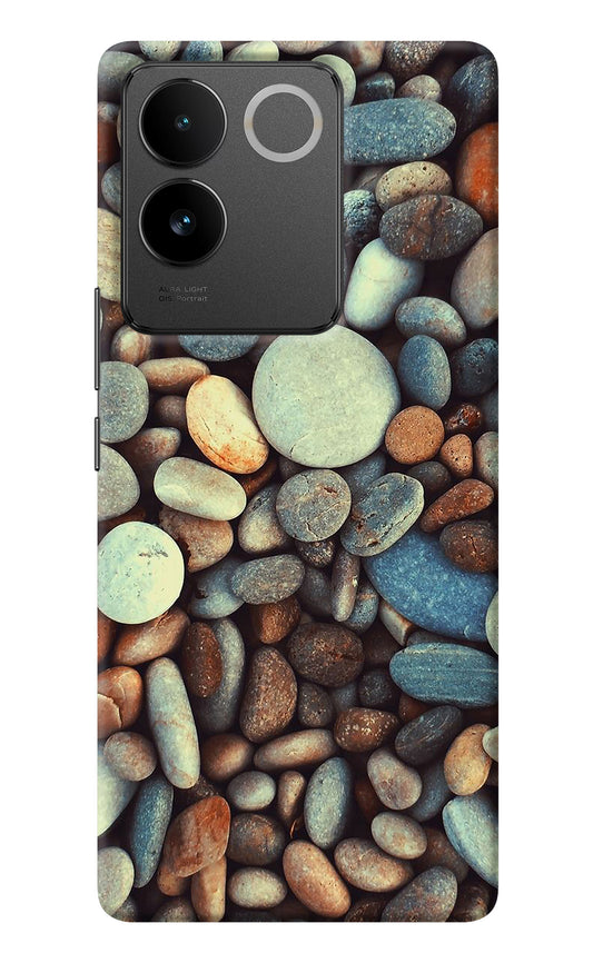 Pebble IQOO Z7 Pro 5G Back Cover