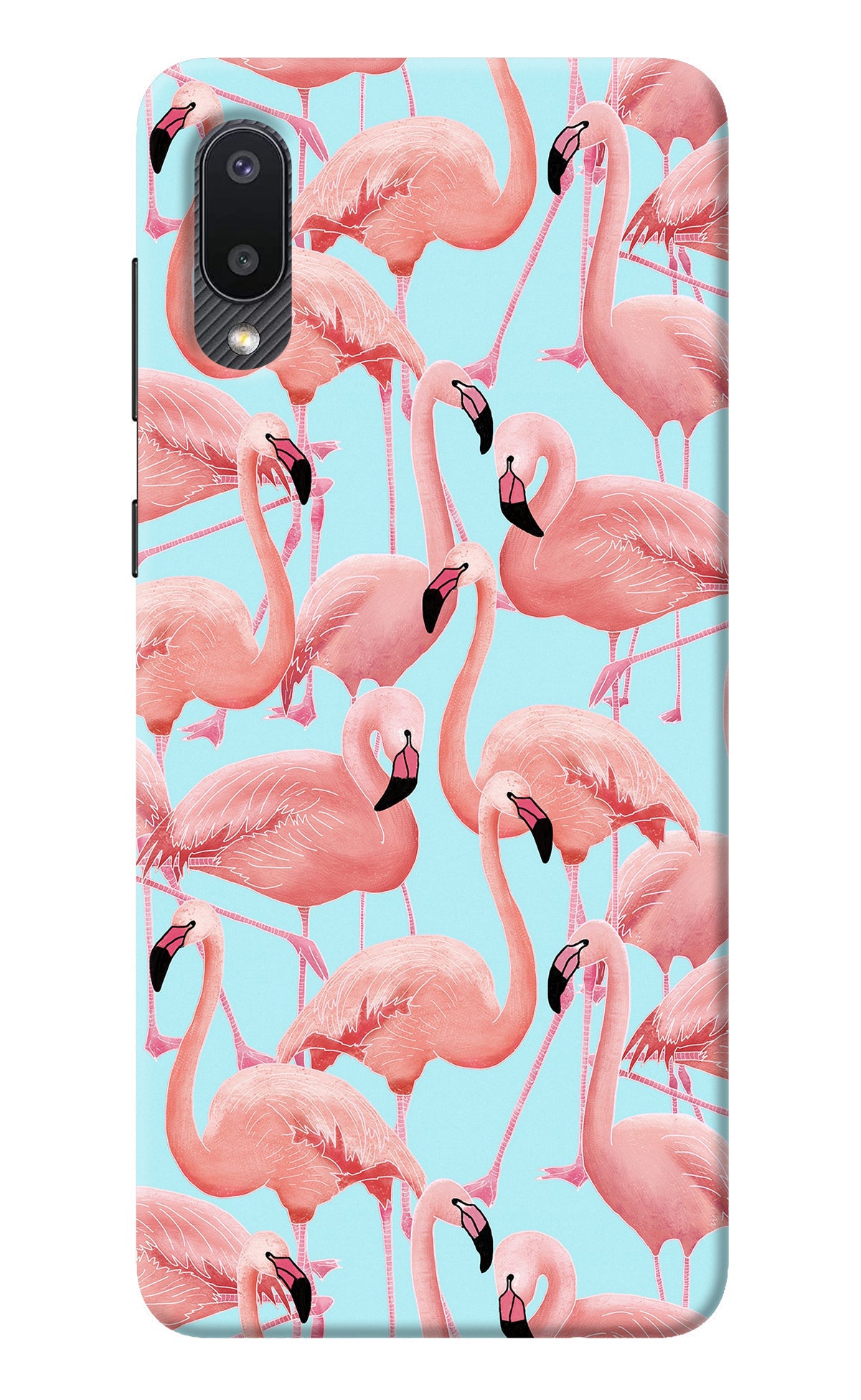 Flamboyance Samsung M02 Back Cover