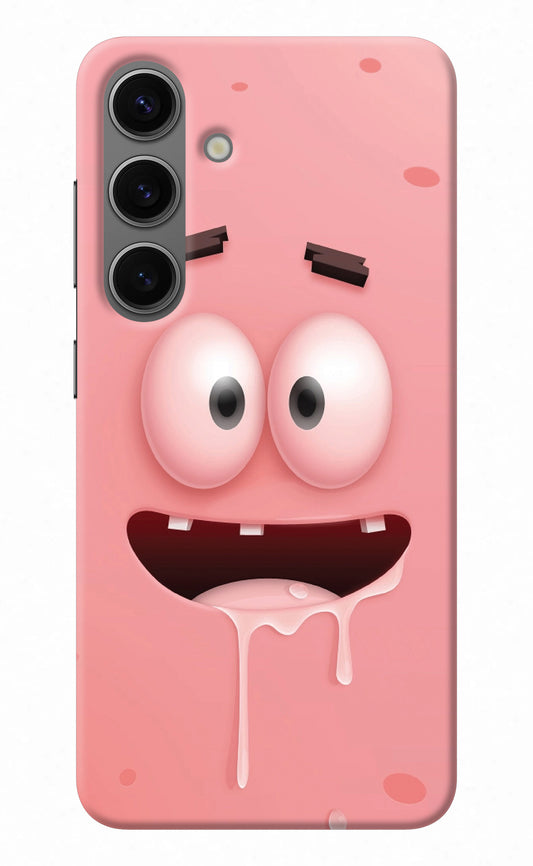 Sponge 2 Samsung S24 Back Cover