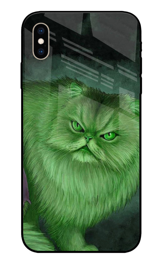 Hulk Cat iPhone XS Max Glass Cover