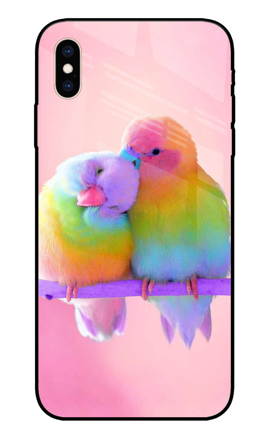 Love Birds iPhone XS Max Glass Cover