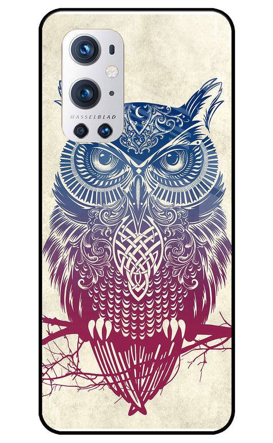 Owl Drill Paint Oneplus 9 Pro Glass Cover