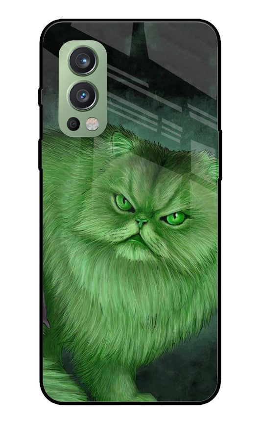 Hulk Cat OnePlus Nord 2 5G Glass Cover