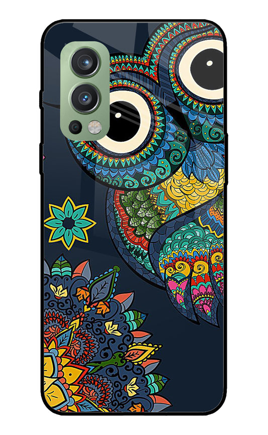 Abstract Owl Art OnePlus Nord 2 5G Glass Cover