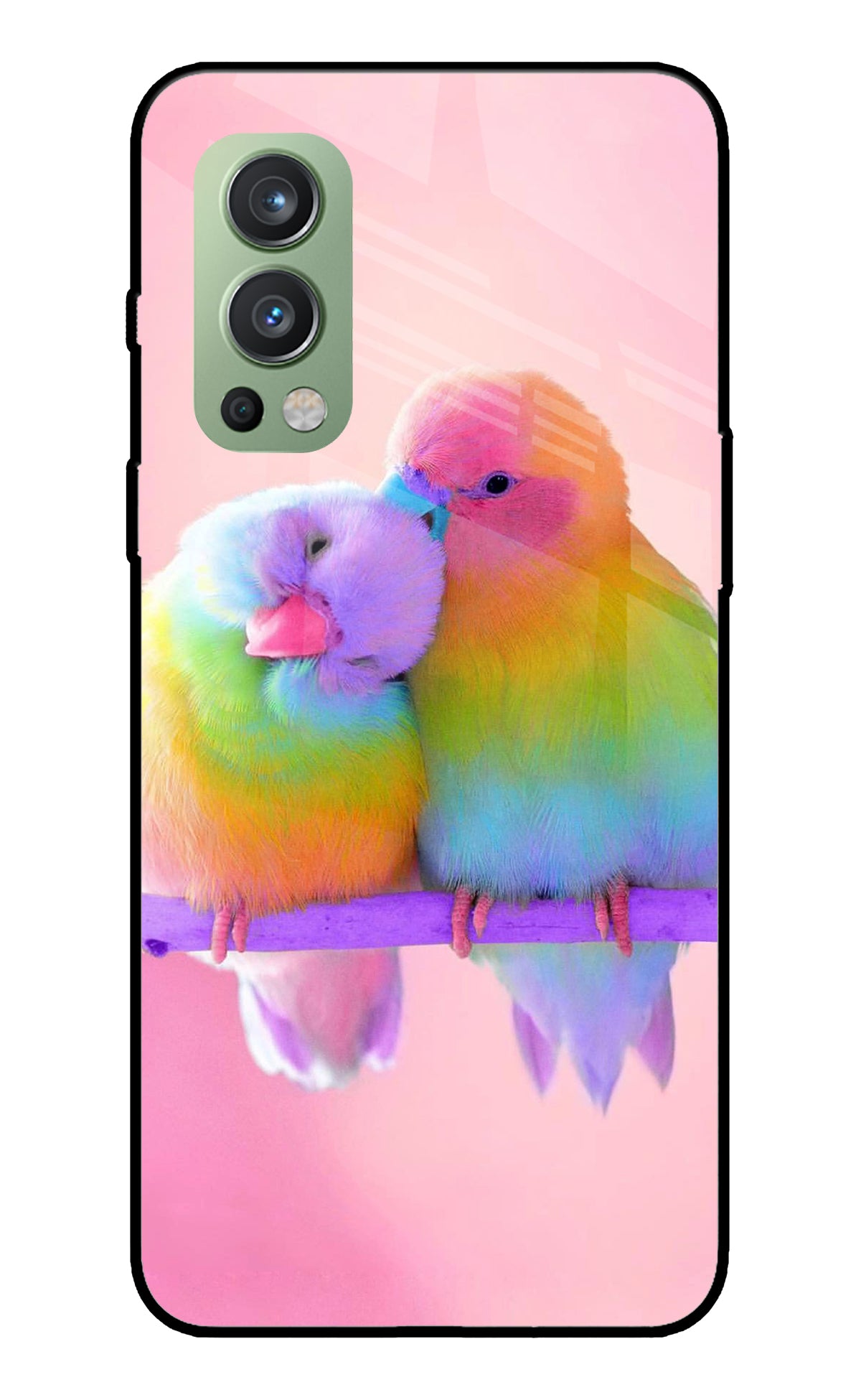 Love Birds OnePlus Nord 2 5G Glass Cover